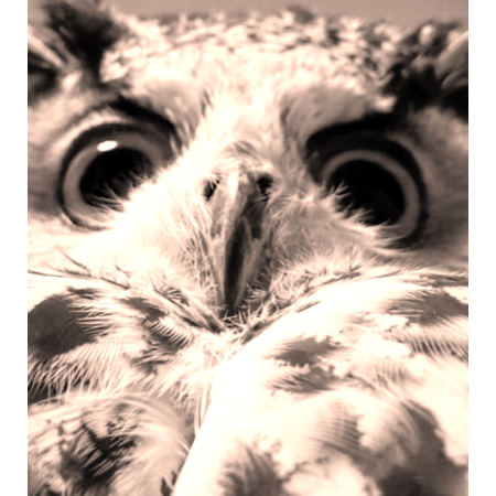 360cf09b 5c4e 47e1 bee0 fe498fabc0a8 s