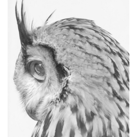 0a5c9770 e37d 4dbd ba2f 63034d81fc8e s