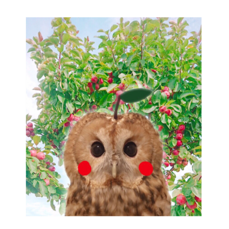 0c754c83 7558 4170 8062 446d4a6bf7c3 s