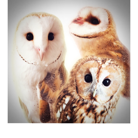 09d13d35 d613 4caf 93b3 3da5a02baed4 s