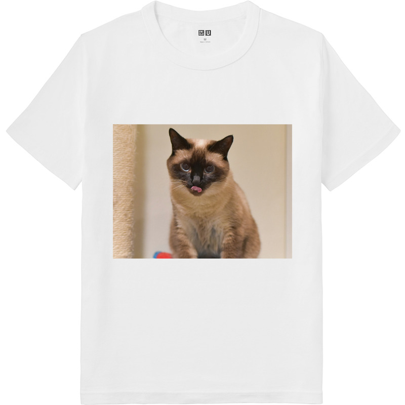 3241002e 67f8 4852 97f9 336a7dad6035 64 print ll