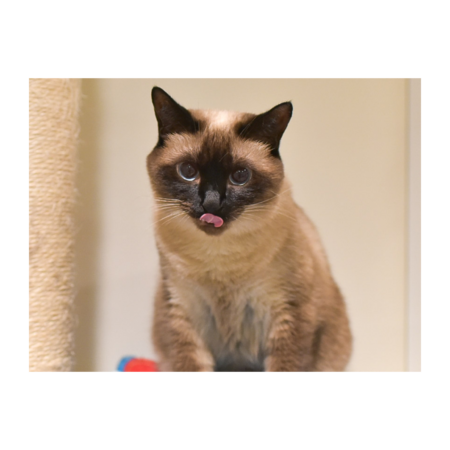 3241002e 67f8 4852 97f9 336a7dad6035 s