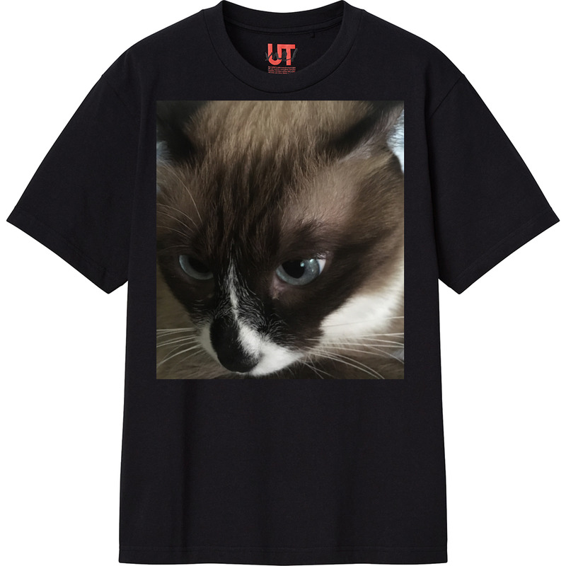 D566ad87 b683 40fe 9a02 2e7beefef243 111 print ll