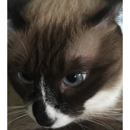 D566ad87 b683 40fe 9a02 2e7beefef243 s