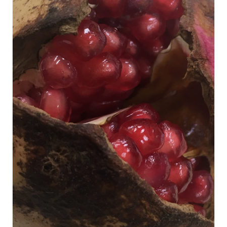 387f3899 dc95 425f 9a74 7830bf2e5267 s