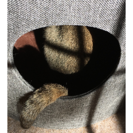 7f33b726 a497 4212 aa6c 7551642a4b61 s