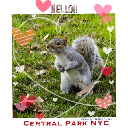 Cee3ce23 6e28 4d34 bfc8 d7f9886844fe s