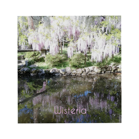 734e7d06 8e66 4d10 a3d6 ccabcefdfb45 s