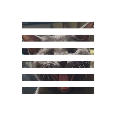 Ed0543b2 1de1 4105 b0a7 3b2070b06a81 s