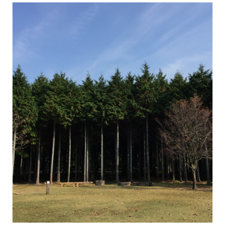 4192624f 8122 41b7 ad6e b6ade7e3622f s