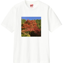 5ba88306 3b35 42c1 aabe 73712129bcc0 110 print s