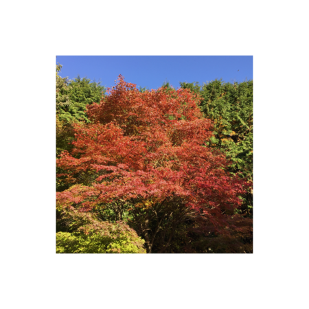 5ba88306 3b35 42c1 aabe 73712129bcc0 s