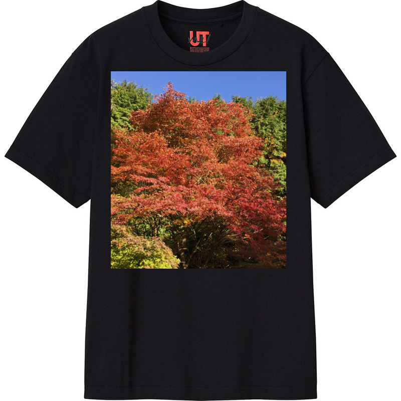 Cfc740bd 2ccb 41d7 94a0 2bdc2f6bbbe8 111 print ll