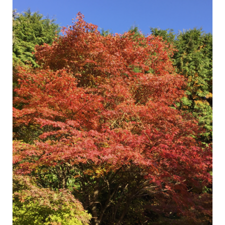 Cfc740bd 2ccb 41d7 94a0 2bdc2f6bbbe8 s