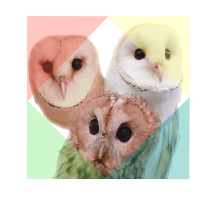 Fb959a89 ea81 4d45 a11b a2450af8381f s