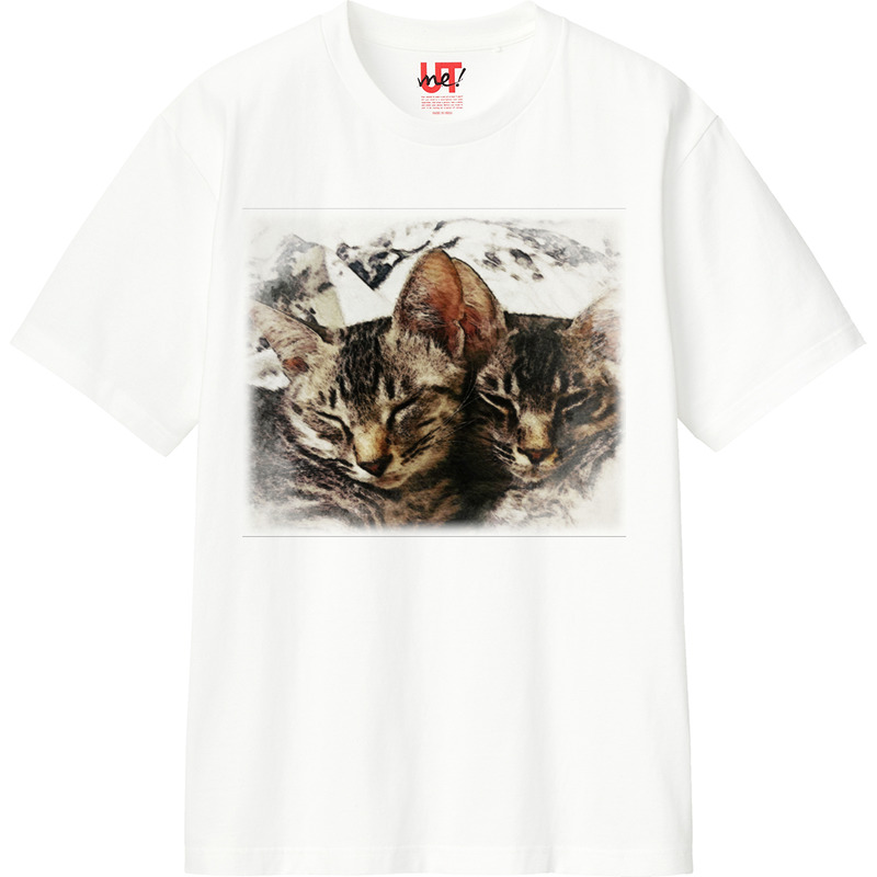 D1ddf8c3 f578 4661 a722 f51402e224d7 110 print ll