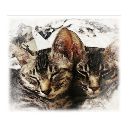 D1ddf8c3 f578 4661 a722 f51402e224d7 s