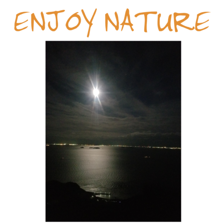 A80aedc7 2588 43f8 bc33 f07bc55322bd s