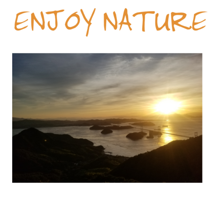 30ddc919 1057 4291 96f7 f796044334bb s