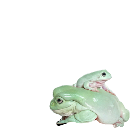 310f1dec a2c1 4240 b18f f4134237ea8d s