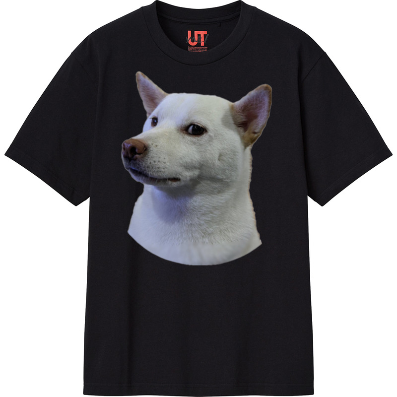 B983277c 98f7 433f 8768 582a887c0995 111 print ll