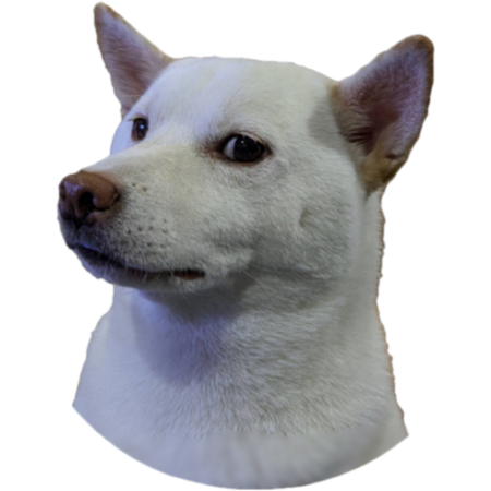 B983277c 98f7 433f 8768 582a887c0995 s