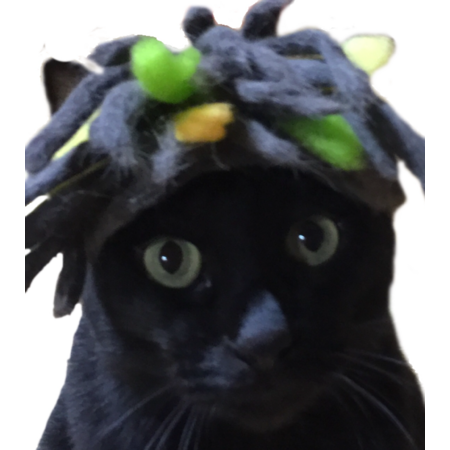 Fdd49f8c d94d 499b b110 c716f25935bd s