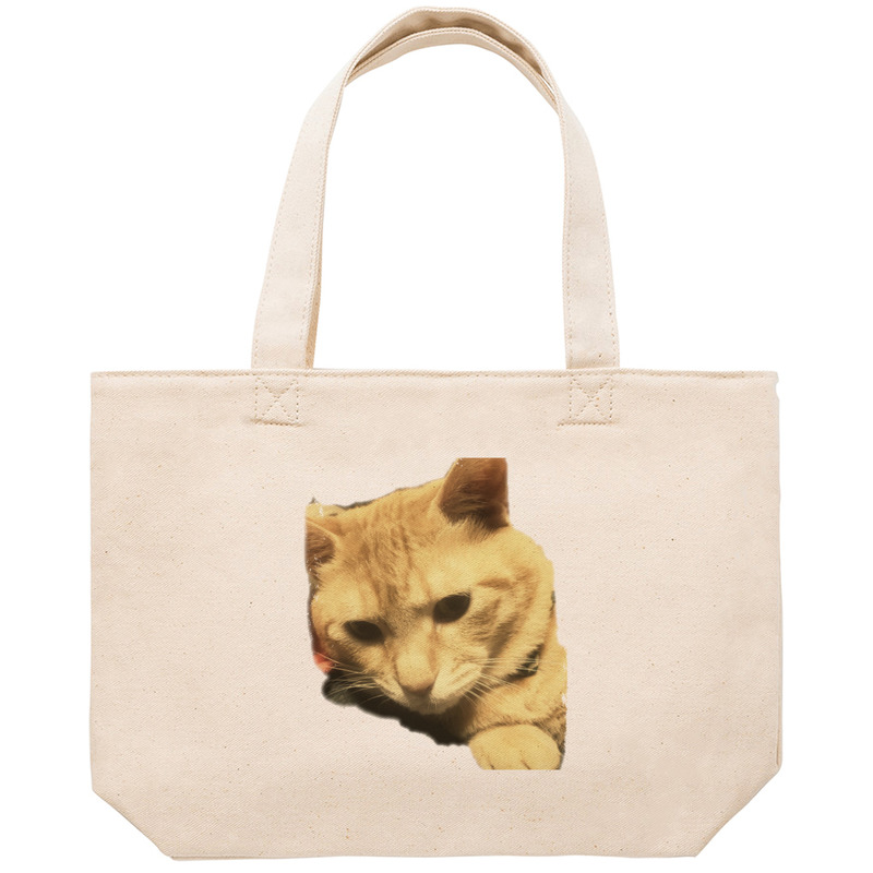 251dd63f 39da 4ab6 8ab7 c6577d1b567e 53 print ll