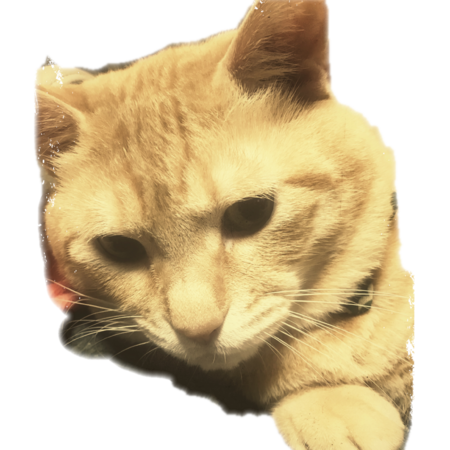 251dd63f 39da 4ab6 8ab7 c6577d1b567e s