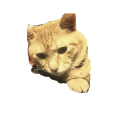 08f89395 b45c 471f b9b3 10182600ff64 s