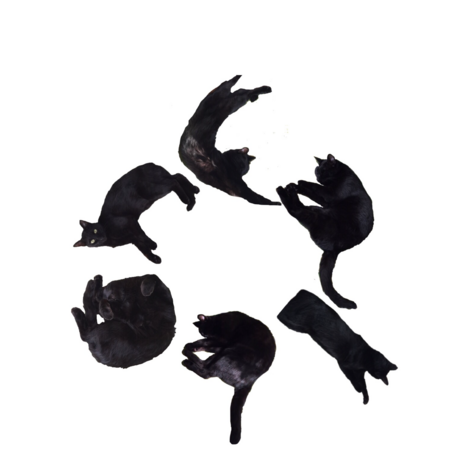 C948af90 c524 4557 8f94 6a5ae2f9407a s