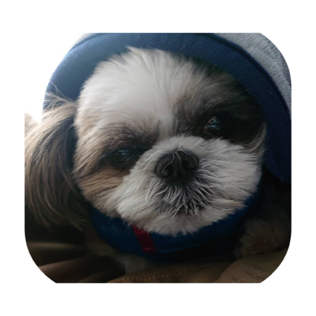 D0f9e6c4 7168 4de4 adcd 684e6a2e8217 s