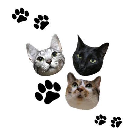 8c5cfb1b 7cea 4037 b8ee b3d484719ab4 s