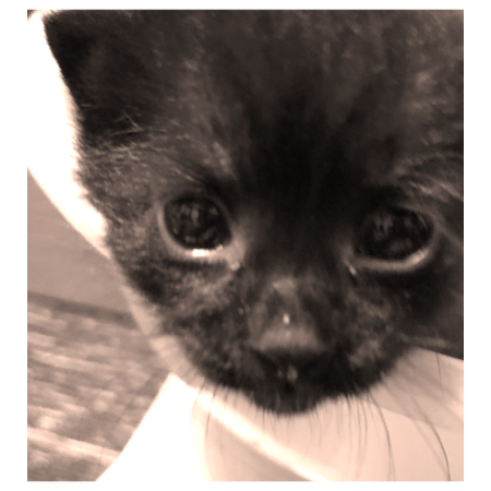 B07a1904 3c94 4d1c 9efe d4fd0ce06791 s