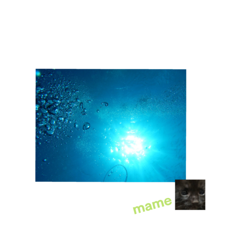 1e684c40 8fa6 4d93 9ce6 de418d55e5e6 s