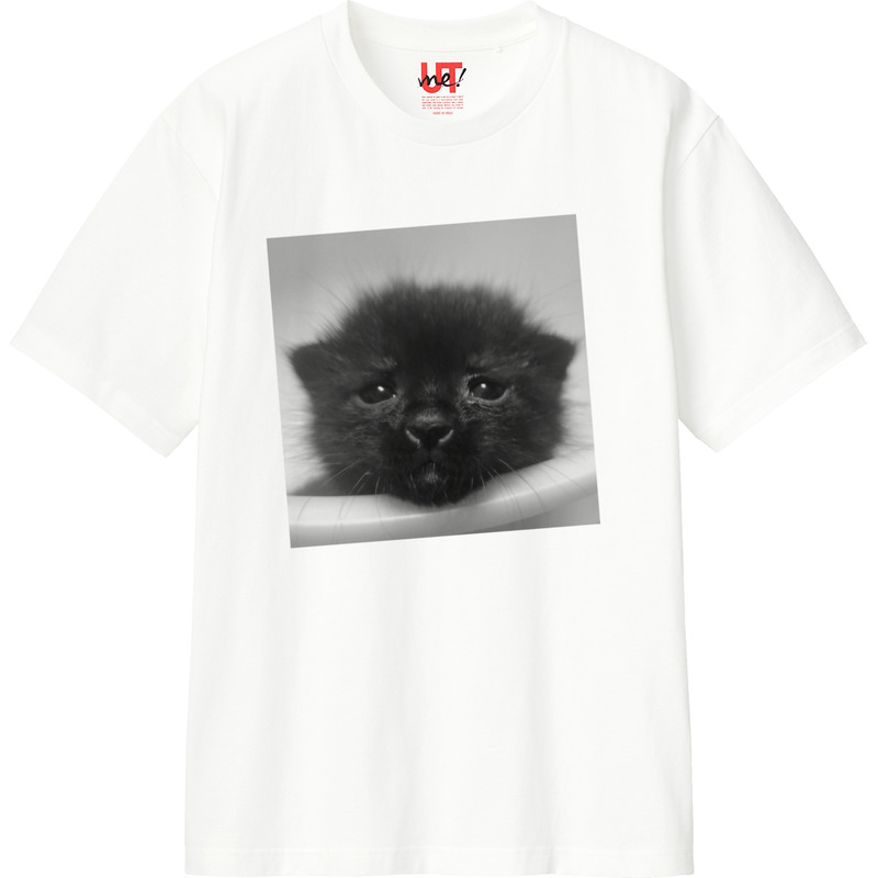 E01ea985 4e75 40f9 b697 27592226f32d 110 print ll