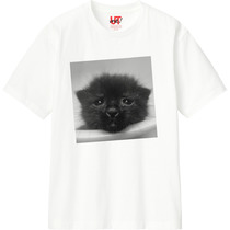 E01ea985 4e75 40f9 b697 27592226f32d 110 print s