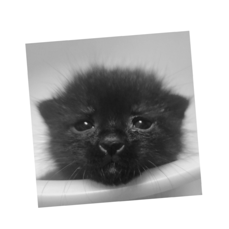 E01ea985 4e75 40f9 b697 27592226f32d s