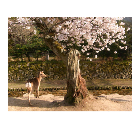 6433cddc 8632 4ed4 b629 2a95dffd9bd5 s