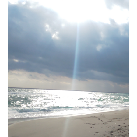 Cc69e958 6dc7 4be7 9382 e38a0afd4999 s