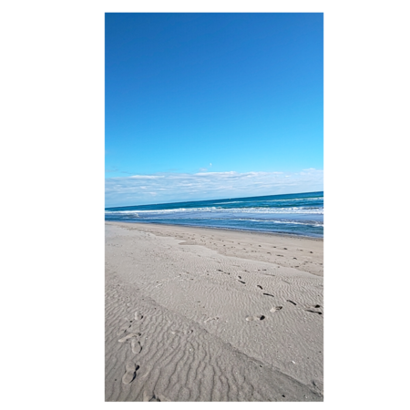 1344e80f e682 488b 8755 6086d96b584f s