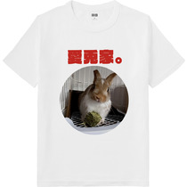 17dcc893 99a4 470b be22 add21732ff50 64 print s