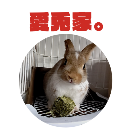 17dcc893 99a4 470b be22 add21732ff50 s