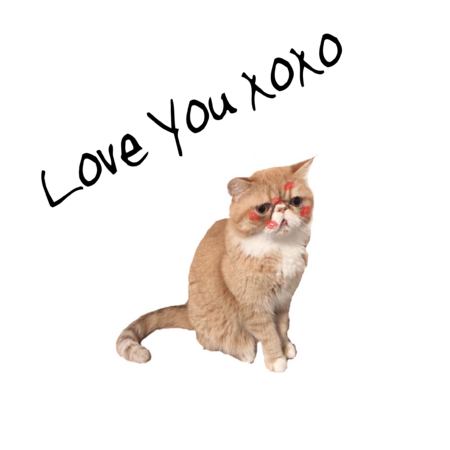 Ef63fc0a 220b 4324 8903 c51aec442803 s