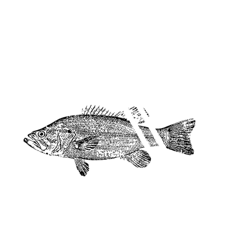 9319baa7 3afb 4e80 91eb 6f19e92f96cf s