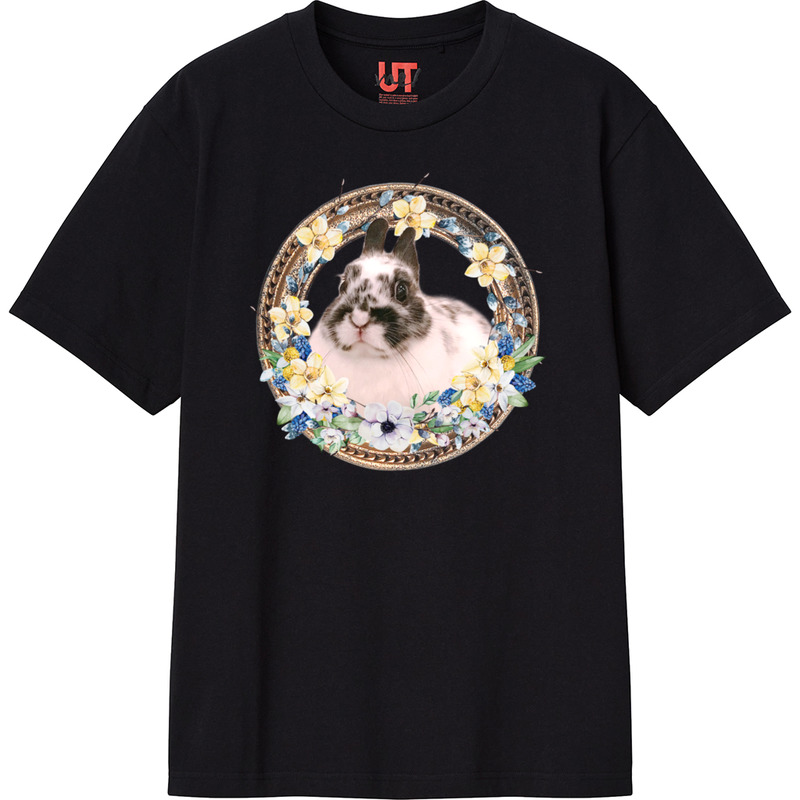 D5cd56bb 139d 4fd8 80d6 d8d04a3ebb0b 111 print ll