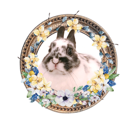 D5cd56bb 139d 4fd8 80d6 d8d04a3ebb0b s