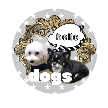 Fa7ac736 ce1c 4f93 b607 70a6fc904dfd s