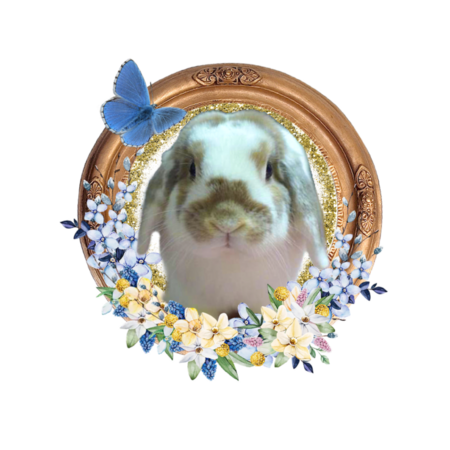 C8d1a2b2 8ac2 4273 8040 a24194d82321 s