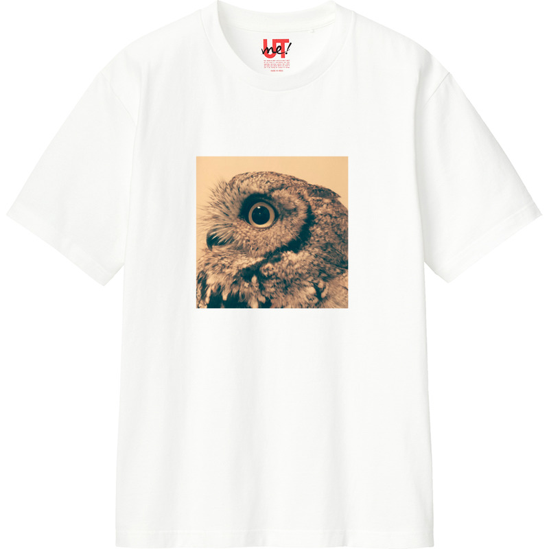 5717ca6e 50b8 4012 b205 c6a56b3ad338 110 print ll